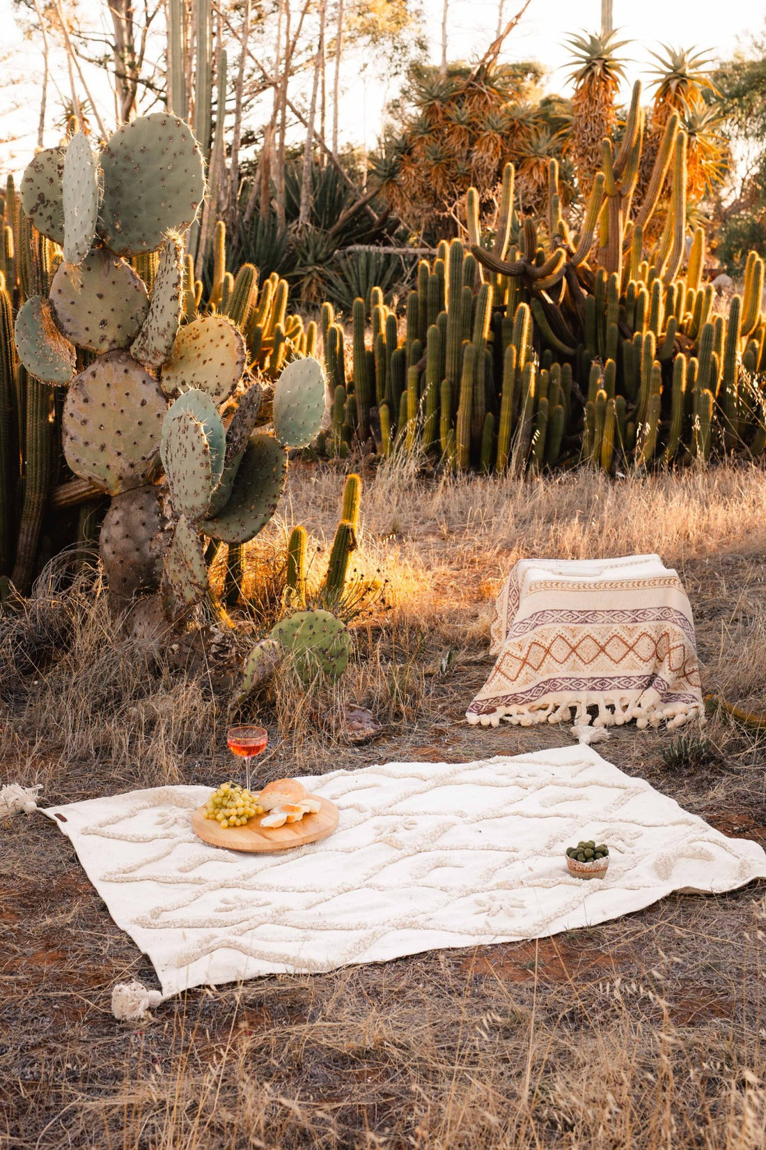 Wild Moonshine Rug By Wild Throw Co. - White